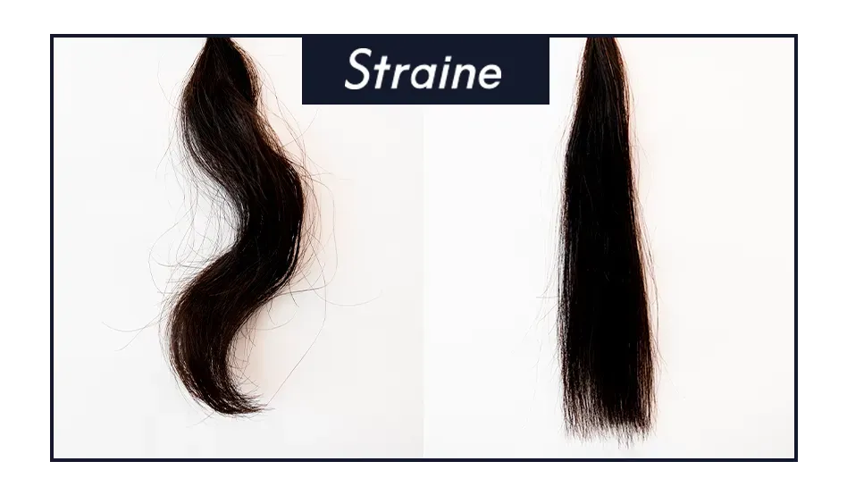 Straine