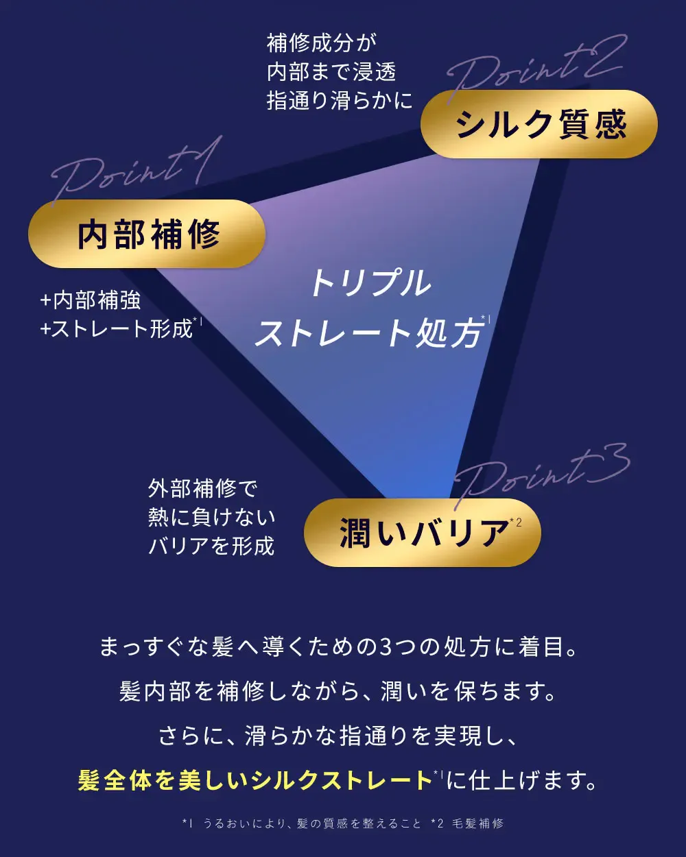 Point1 内部補修 +内部補強 +ストレート形成*1 / Point2 シルク質感 補修成分が内部まで浸透 指通り滑らかに / Point3 潤いバリア*2 外部補修で熱に負けないバリアを形成 / まっすぐな髪へ導くための3つの処方に着目。髪内部を補修しながら、潤いを保ちます。さらに、滑らかな指通りを実現し、髪全体を美しいシルクストレート*1に仕上げます。 / *1 うるおいにより、髪の質感を整えること *2 毛髪補修